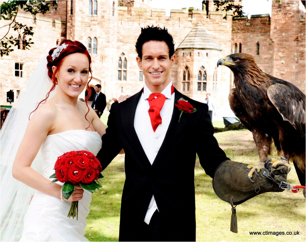 peckforton-castle-wedding-photography-birds-of-prey peckforton-castle-wedding-photography-birds-of-prey
