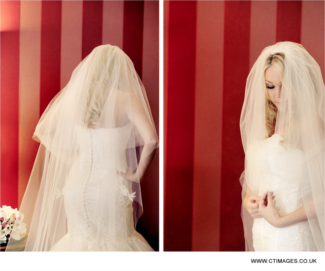 gibbon-bridge-weddings-photography-bride-and-veil