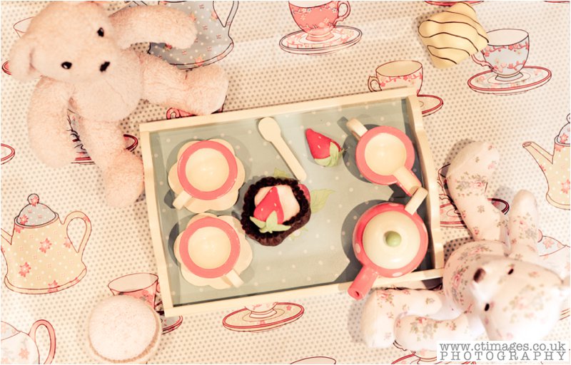 teddy bears picnic,