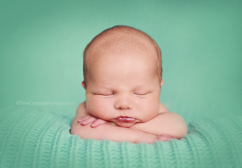 tiny cherubs photography lytham